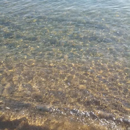Paradise Lozenets
