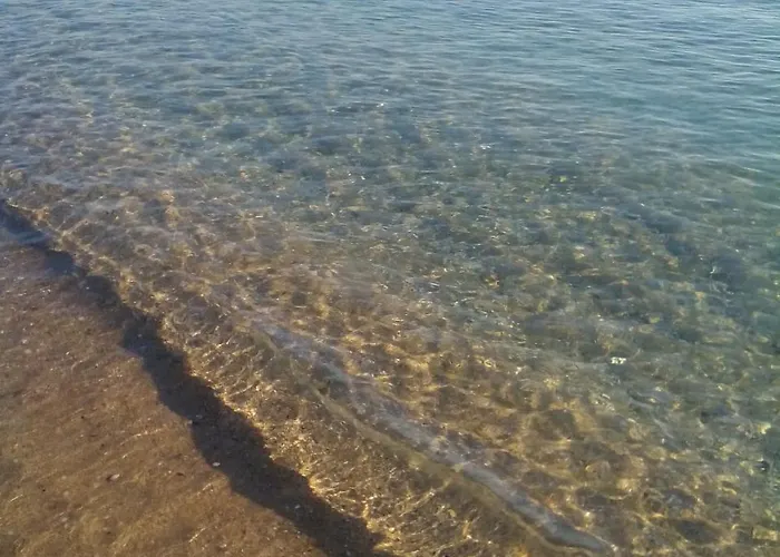 Paradise 로제넷츠